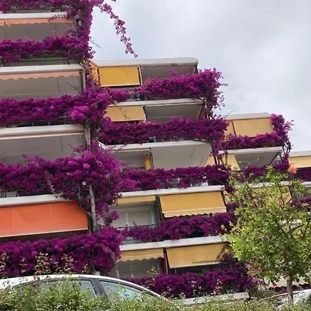 Marvelous Sea & Garden View, Near Carihuela * Torremolinos